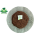 Lajwanti Seeds - Chuimui - Mimosa Pudica - Sensitive Plant Seeds